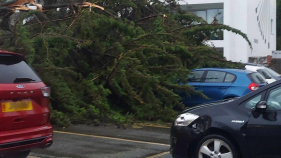 Tempestade Ciarán provoca prejuízos em Jersey.