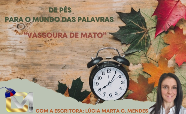 De pés para o mundo das palavras - Vassoura de mato