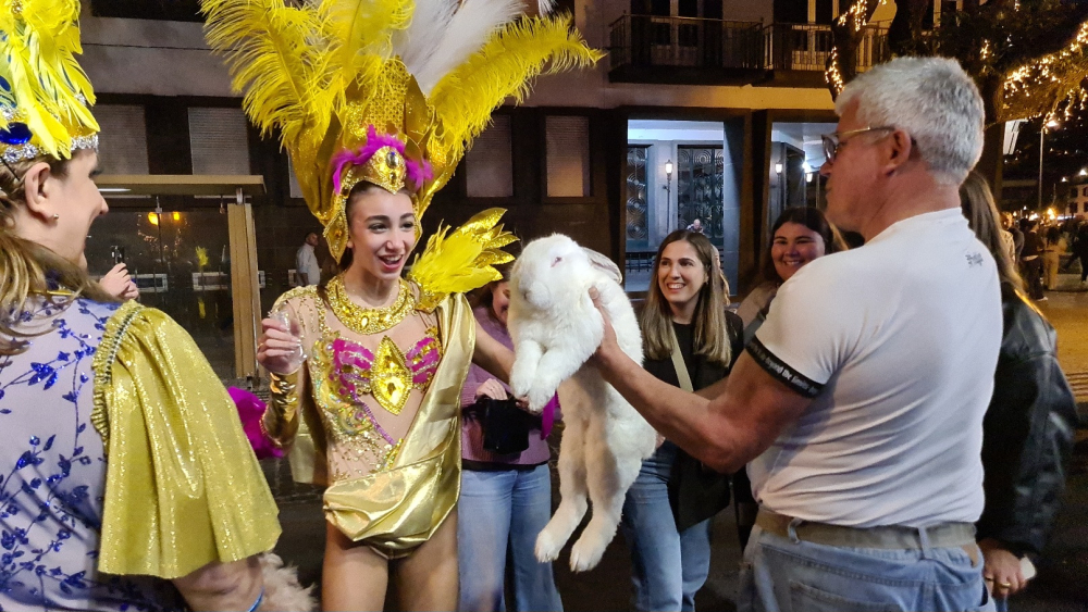 Orelhinhas: o coelho que saltou para o coração do Carnaval do Funchal (com vídeo)