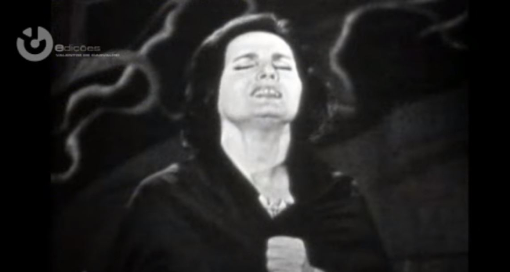 Dia Mundial do Fado: "Estranha forma de vida". Veja o vídeo.