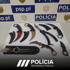PSP na Madeira apreende sete armas proibidas em opera&ccedil;&atilde;o em C&acirc;mara de Lobos