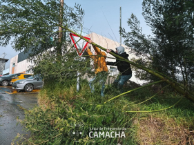 Depress&atilde;o "Em&iacute;lia" com 325 ocorr&ecirc;ncias