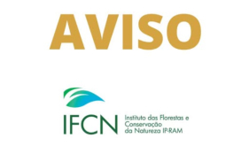 Depress&atilde;o Claudia encerra todos os percursos a p&eacute;