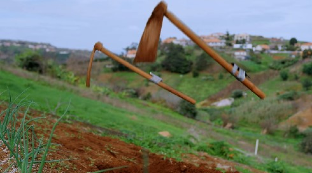 Festa dos Compadres promovida com vídeo e "Inteligência Artificial"