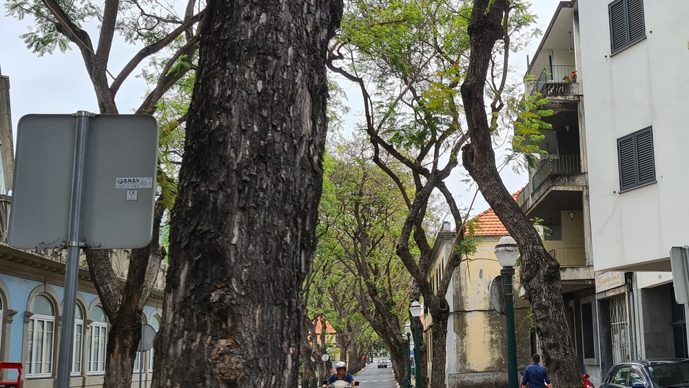 Idosa morre após queda do terceiro andar