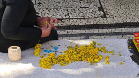 Colares de Maios mant&ecirc;m viva tradi&ccedil;&atilde;o madeirense no Dia do Trabalhador (com v&iacute;deo)
