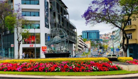 Carro choca com montra no Funchal