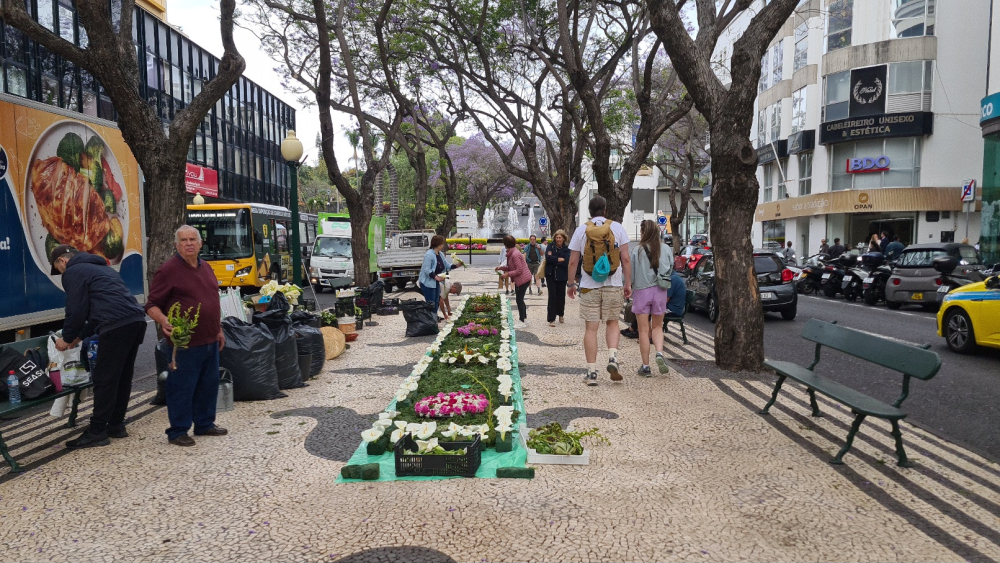 Associação Refúgio da Freira prepara tapetes de flores (com vídeo)