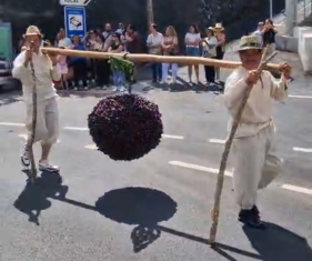 Festa da Cereja: Folclore e tradi&ccedil;&atilde;o deram vida &agrave;s ruas do Jardim da Serra (com v&iacute;deo)
