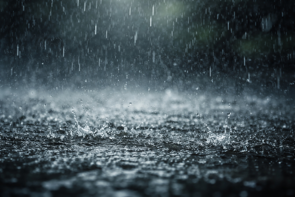 Monte regista maior precipitação das últimas horas na Madeira
