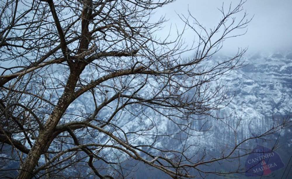 Caiu neve no Pico do Areeiro