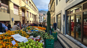 Funchal prepara-se para a Noite do Mercado (com v&iacute;deo)