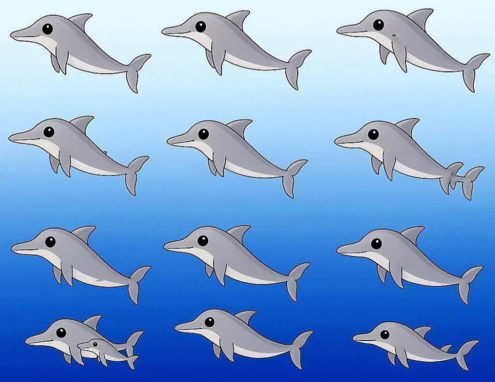 Quantos golfinhos vê nesta imagem?