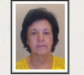 Faleceu Concei&ccedil;&atilde;o Maria G&oacute;is Viveiros