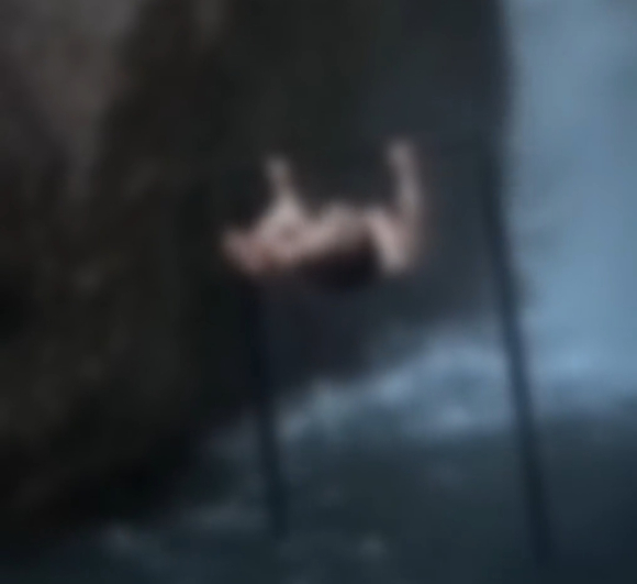 Grupo de jovens monta treino na cascata (com v&iacute;deo)