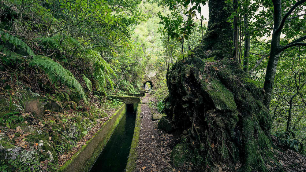 Turistas perdidos na serra foram resgatados
