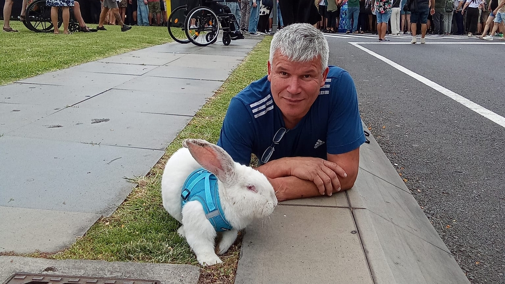 Morreu Orelhinhas, o coelho que conquistou a Madeira