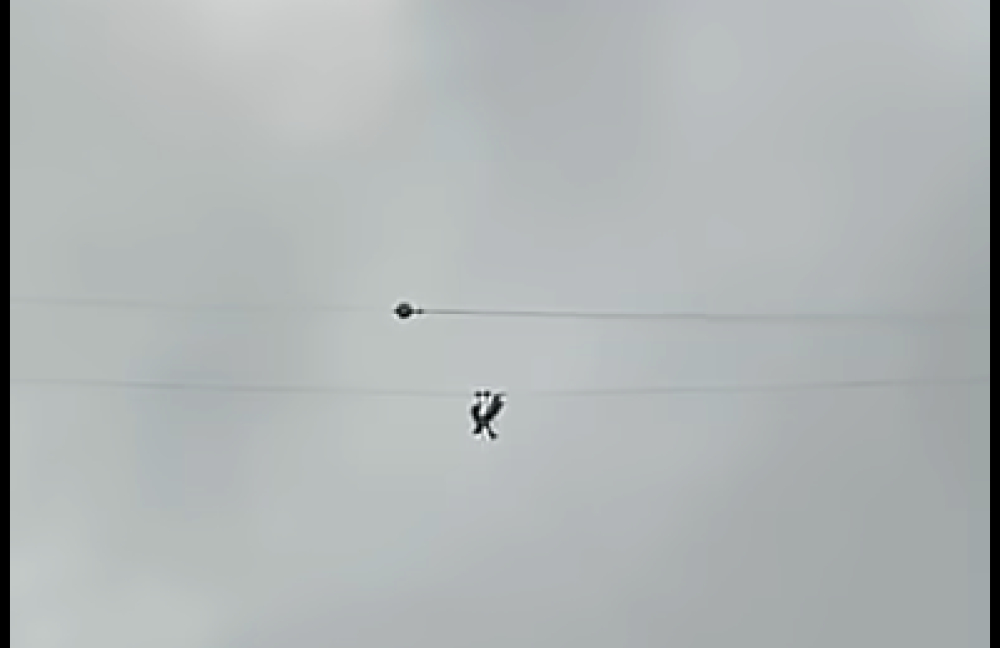 Turista pendurado a mais de 300 metros (com vídeo)