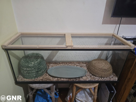 Homem com cobra em casa, no Cani&ccedil;o