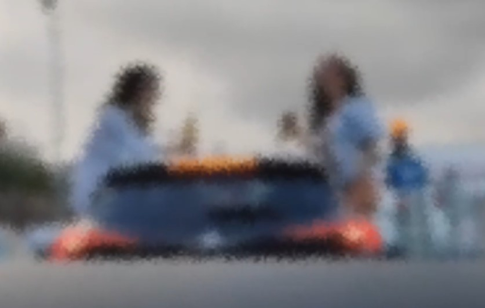 Momento insólito no Funchal (com vídeo)
