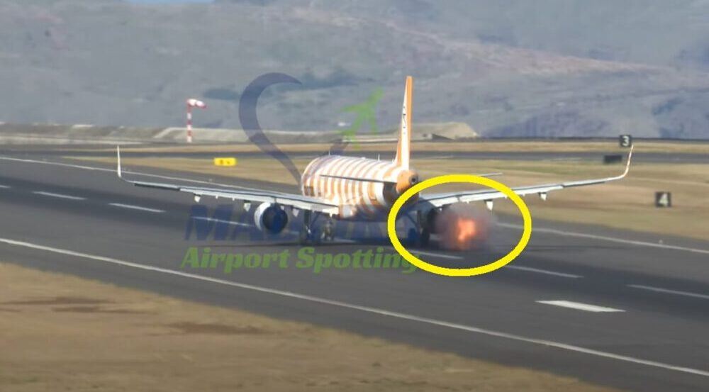 Ave colide com avião e provocou chamas num motor (vídeo)