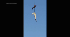 Empres&aacute;rio madeirense desaparecido na &Aacute;frica do Sul poder&aacute; estar dentro de crocodilo (com v&iacute;deo)