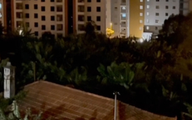 "Gritos desesperados de animais a serem abatidos" no Funchal (com v&iacute;deo)