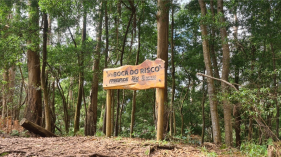 Duas turistas perdidas nas serras de Machico