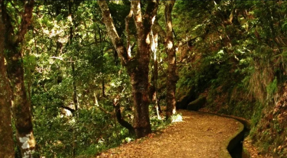 Turista encontrado sem vida nos Balcões