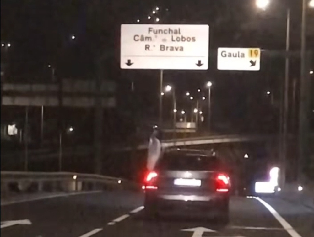 Mulher pendurada em carro na Via Rápida (com vídeo)