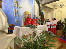 Portugueses celebram Domingo de Ramos, em Londres (com fotos)