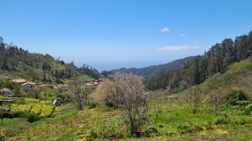 Madeira vai aquecer: temperaturas chegam aos 25&deg;C este fim de semana
