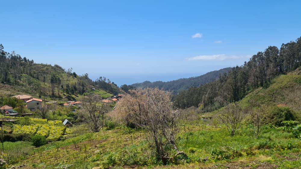 Madeira vai aquecer: temperaturas chegam aos 25°C este fim de semana