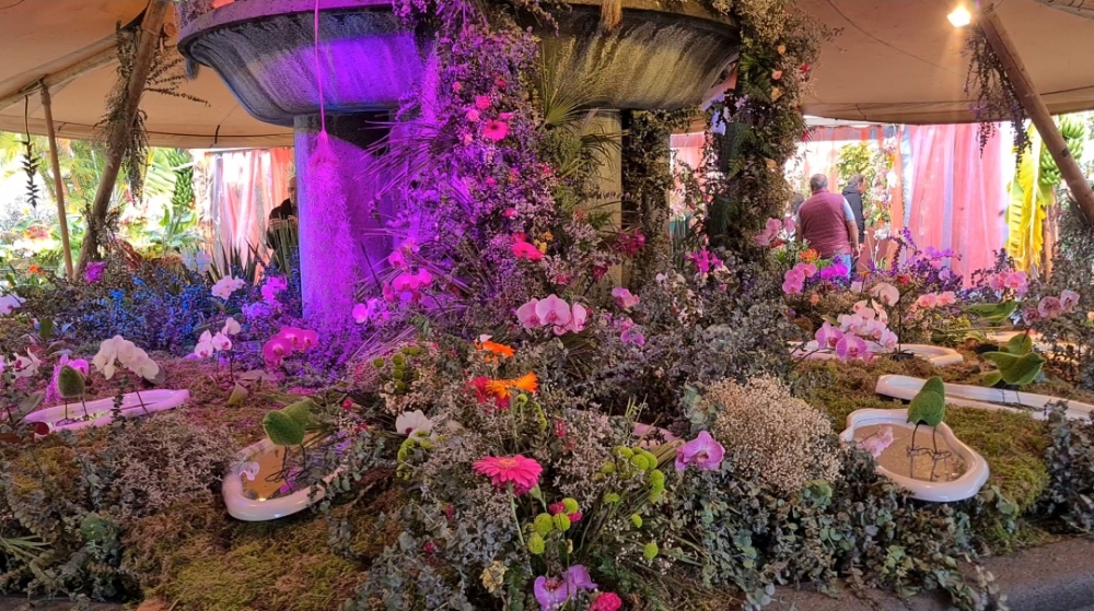 Exposição da Flor: 71 anos de história