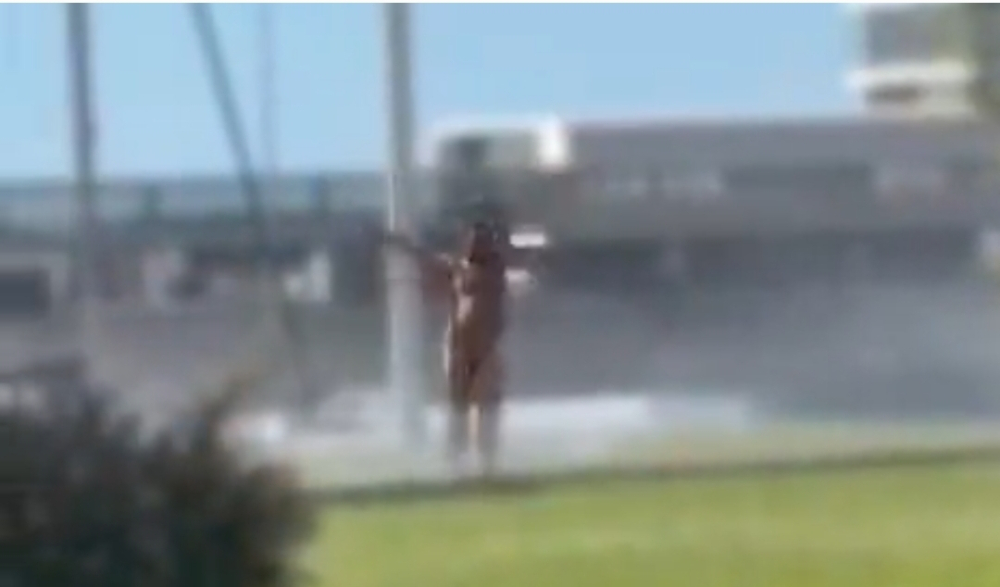 Homem dá show naturalista (com vídeo)