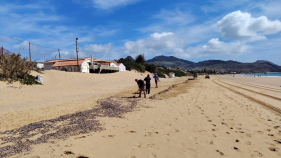 Praia do Porto Santo est&aacute; a ser limpa ap&oacute;s &ldquo;invas&atilde;o&rdquo; de veleiros no areal (com v&iacute;deo)