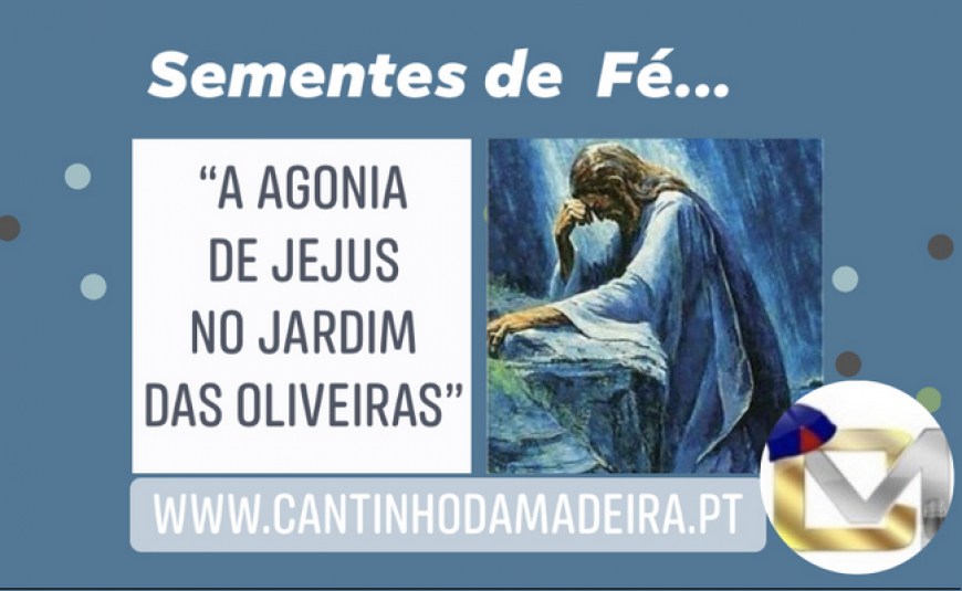 Sementes de Fé - 3 de março