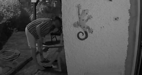 Agressor libertado na Madeira gera pol&eacute;mica nacional