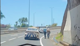 PSP ajuda idosa "desorientada" a regressar a casa (com v&iacute;deo)