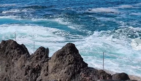 Frente Mar Funchal alerta para risco elevado de &ldquo;levadias&rdquo; (com v&iacute;deo)