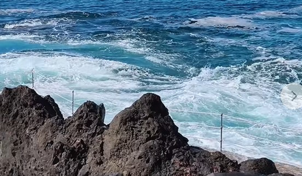 Frente Mar Funchal alerta para risco elevado de “levadias” (com vídeo)