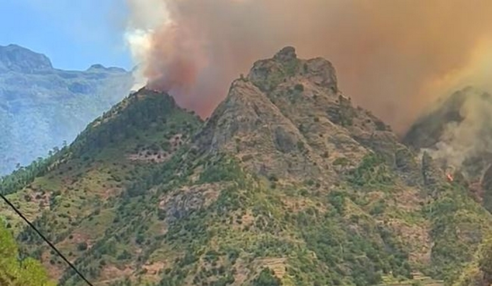 Madeira em risco máximo de incêndio. Veja as previsões.