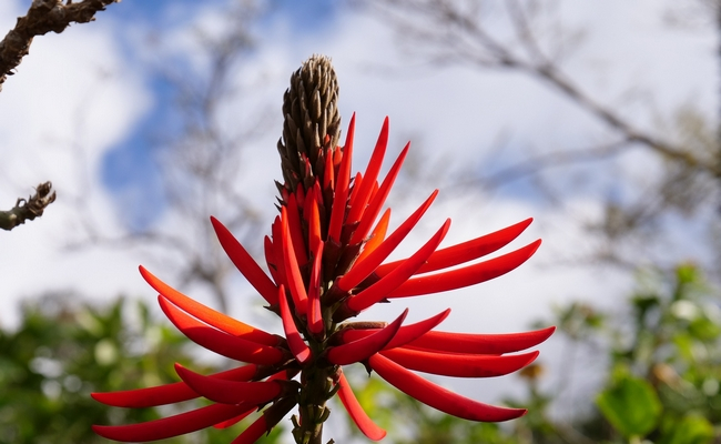 Primavera chega hoje