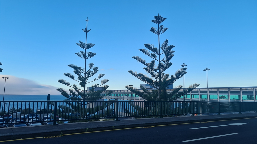 Já sabe a previsão do tempo para hoje?