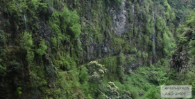 Turista sofre queda na levada do Curral e Castelejo