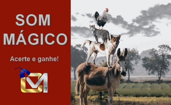 Som M&aacute;gico