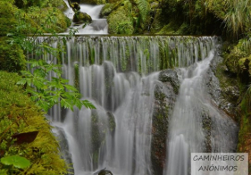 Homem caiu de cascata na Levada do Inferno