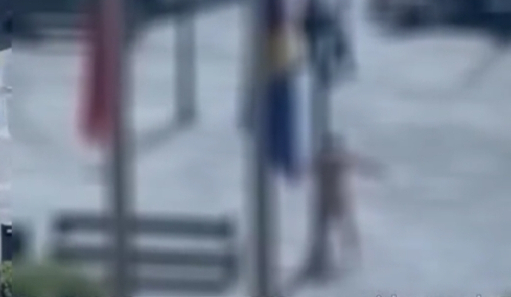 Homem circula nu em Câmara de Lobos e vídeo torna-se viral