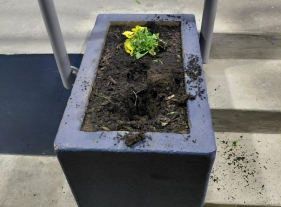 Vandalismo na Camacha captado por videovigil&acirc;ncia