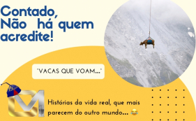 Contado, n&atilde;o h&aacute; quem acredite - Vacas que voam...